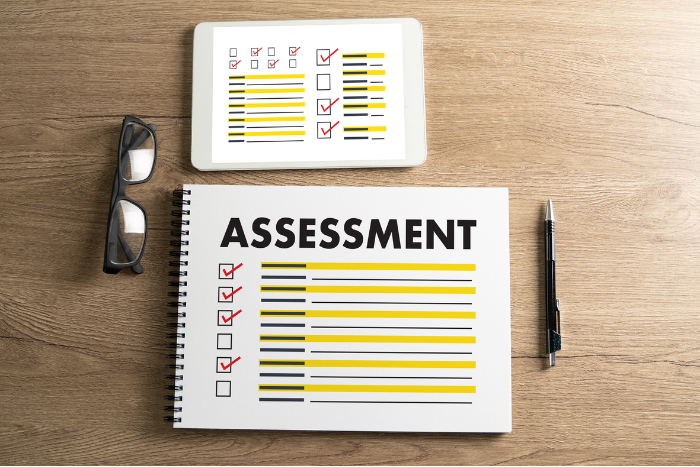 Software Assessments And Management